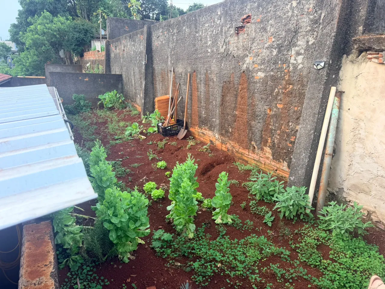 Casa — Margarida Galvan — foto 2