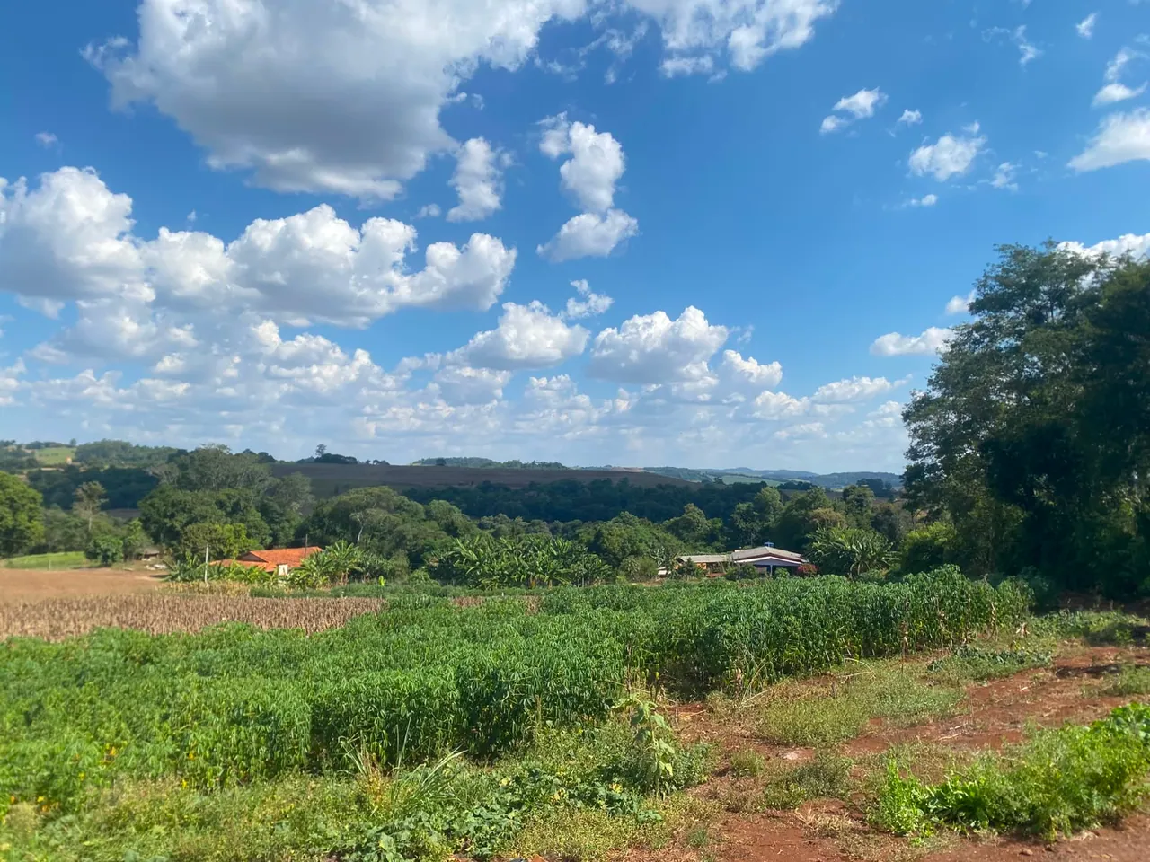 Chácara das Águas do Verê — PR-281 — foto 3